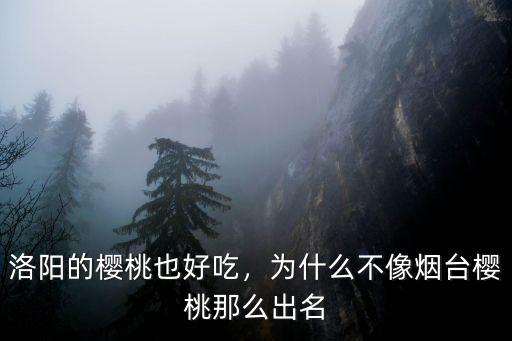 洛陽的櫻桃也好吃，為什么不像煙臺櫻桃那么出名