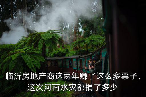 臨沂房地產(chǎn)商這兩年賺了這么多票子，這次河南水災(zāi)都捐了多少