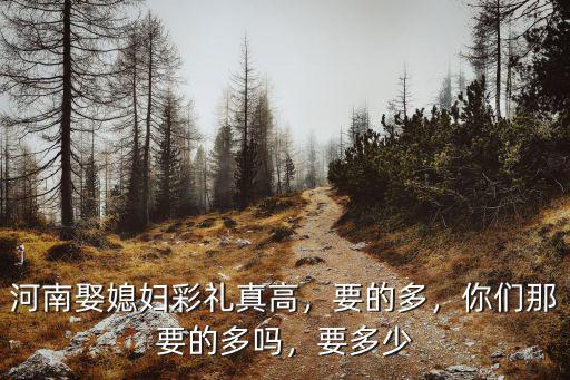 河南娶媳婦禮金多少錢,河南南陽彩禮多少錢