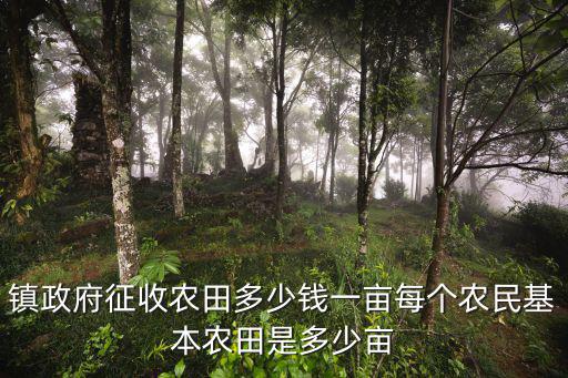 河南省一共有多少基本農田,每個農民基本農田是多少畝