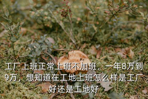 工廠上班正常上班不加班，一年8萬到9萬，想知道在工地上班怎么樣是工廠好還是工地好
