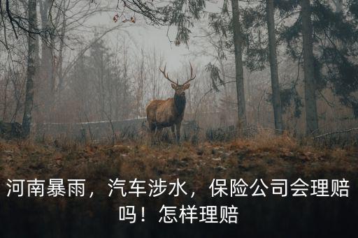 河南暴雨，汽車涉水，保險公司會理賠嗎！怎樣理賠