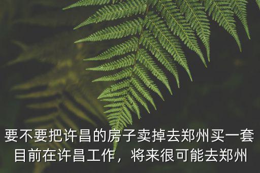 要不要把許昌的房子賣掉去鄭州買一套目前在許昌工作，將來很可能去鄭州