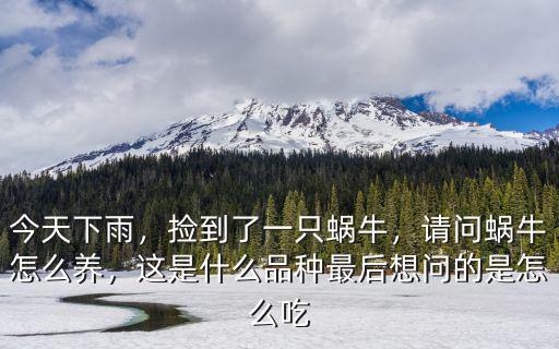 怎么河南這么多養(yǎng)蝸牛的,撿到了一只蝸牛