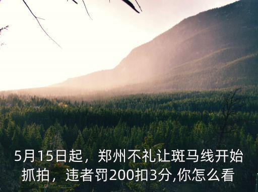 鄭州斑馬線不禮讓行人怎么處罰,鄭州不禮讓斑馬線開始抓拍