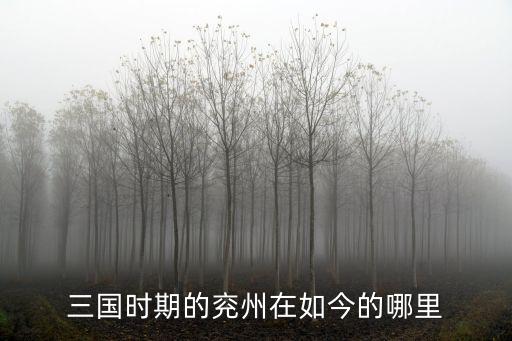 三國時期的兗州在如今的哪里