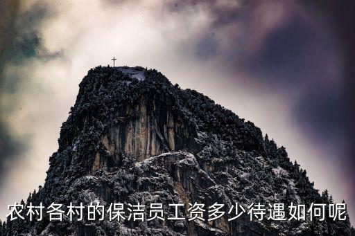 河南清潔工工資多少錢,農村各村的保潔員工資多少