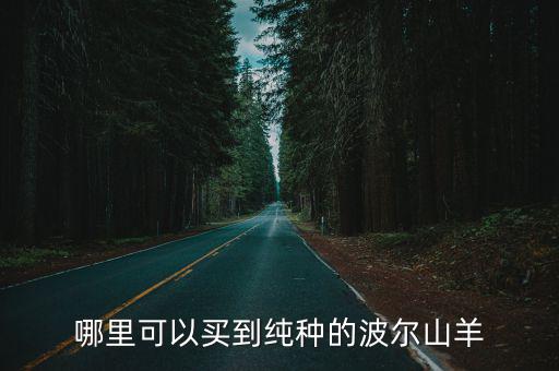 平頂山在哪里能買到波爾山羊,哪里能買到波兒山羊