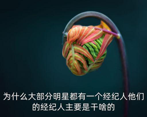 河南專業明星經紀人哪里有,想做明星的經紀人