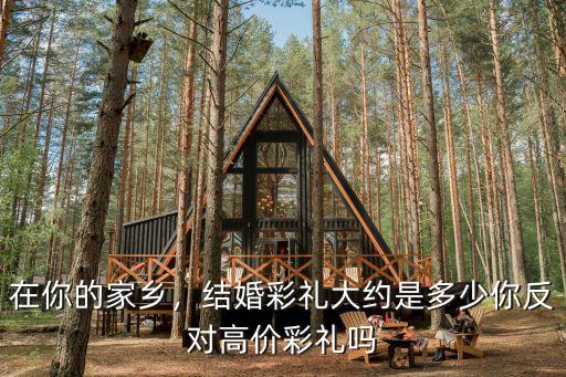在你的家鄉，結婚彩禮大約是多少你反對高價彩禮嗎