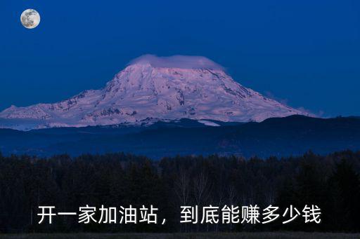 河南項(xiàng)城加油站多少錢(qián),到底能賺多少錢(qián)