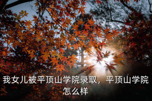 我女兒被平頂山學院錄取，平頂山學院怎么樣