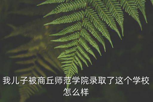 我兒子被商丘師范學院錄取了這個學校怎么樣