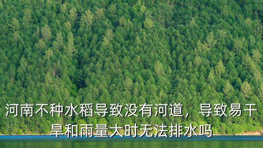 河南不種水稻導致沒有河道，導致易干旱和雨量大時無法排水嗎