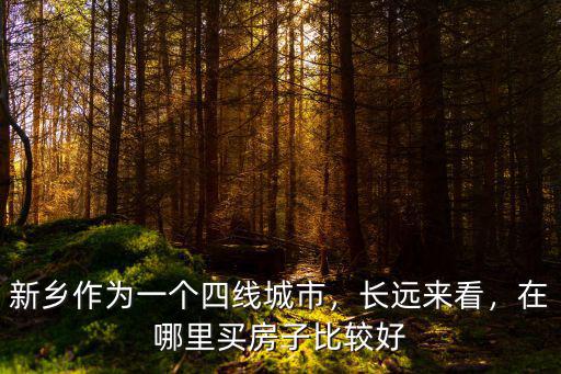 趙含英在新鄉(xiāng)哪里,新鄉(xiāng)市在哪里