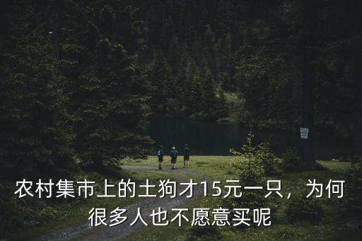 農村集市上的土狗才15元一只，為何很多人也不愿意買呢