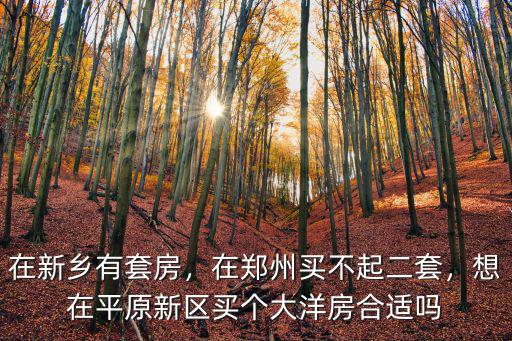 在新鄉有套房，在鄭州買不起二套，想在平原新區買個大洋房合適嗎
