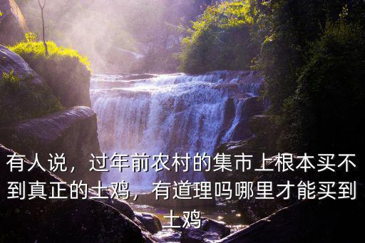 有人說，過年前農(nóng)村的集市上根本買不到真正的土雞，有道理嗎哪里才能買到土雞