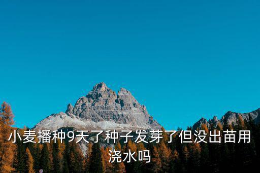 小麥播種9天了種子發芽了但沒出苗用澆水嗎