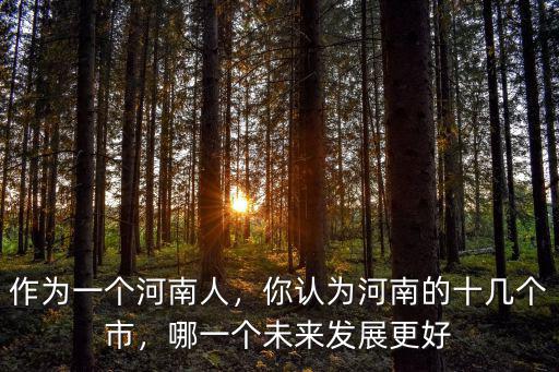 作為一個(gè)河南人，你認(rèn)為河南的十幾個(gè)市，哪一個(gè)未來發(fā)展更好