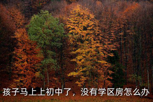 孩子馬上上初中了，沒有學區房怎么辦