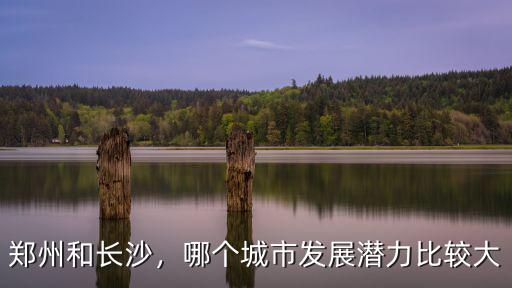 鄭州和長沙，哪個(gè)城市發(fā)展?jié)摿Ρ容^大