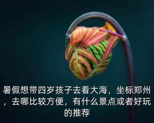 暑假想帶四歲孩子去看大海，坐標(biāo)鄭州，去哪比較方便，有什么景點(diǎn)或者好玩的推薦