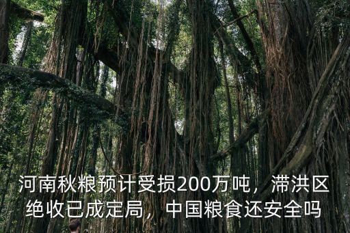 河南秋糧預計受損200萬噸，滯洪區絕收已成定局，中國糧食還安全嗎