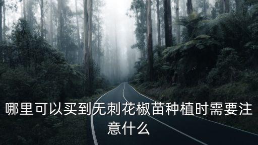 哪里可以買到無刺花椒苗種植時需要注意什么