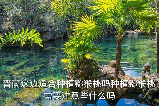 晉南這邊適合種植獼猴桃嗎種植獼猴桃需要注意些什么嗎