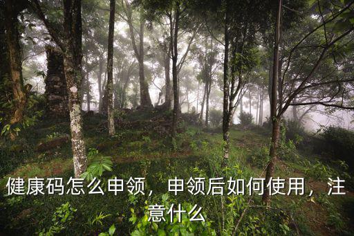 健康碼怎么申領，申領后如何使用，注意什么