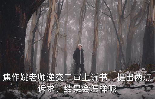 焦作姚老師遞交二審上訴書，提出兩點訴求，結果會怎樣呢