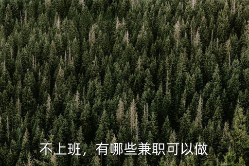 不上班，有哪些兼職可以做