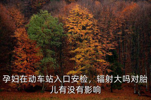 鄭州孕婦怎么地鐵安檢,如何乘坐鄭州地鐵