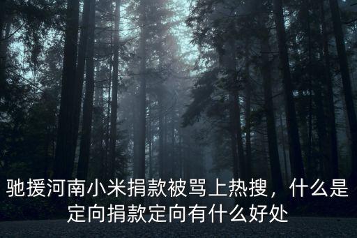 馳援河南小米捐款被罵上熱搜，什么是定向捐款定向有什么好處