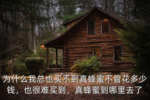 河南哪里有野生黑蜂蜜,哪里有土蜂蜜