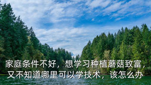 家庭條件不好，想學習種植蘑菇致富，又不知道哪里可以學技術，該怎么辦