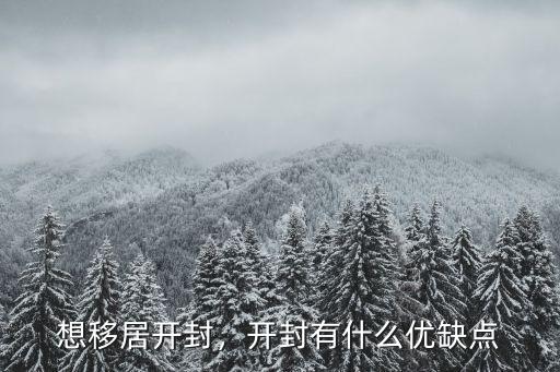 想移居開封，開封有什么優缺點