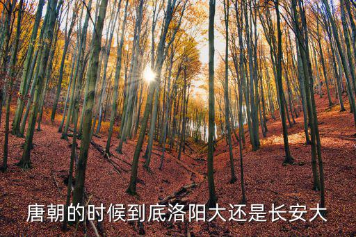 唐朝的時候到底洛陽大還是長安大