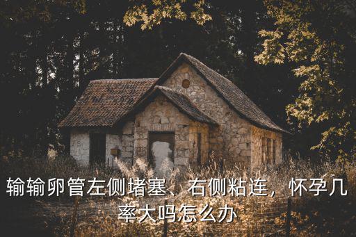 輸輸卵管左側堵塞、右側粘連，懷孕幾率大嗎怎么辦