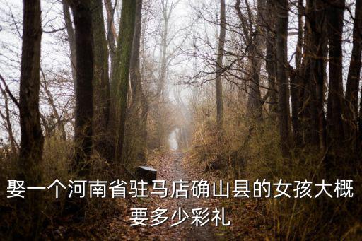 駐馬店汝南彩禮一般多少,現在鄭州彩禮一般多少