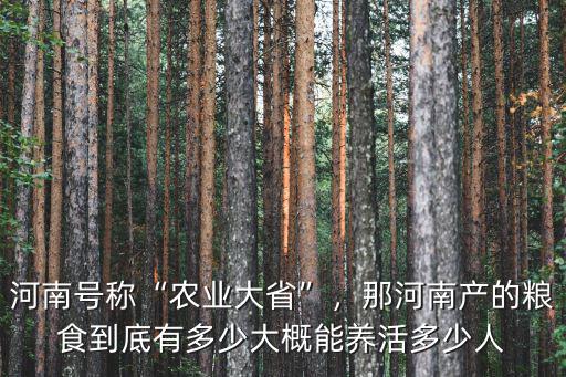 河南號稱“農(nóng)業(yè)大省”，那河南產(chǎn)的糧食到底有多少大概能養(yǎng)活多少人