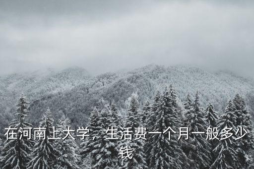 在河南上大學，生活費一個月一般多少錢