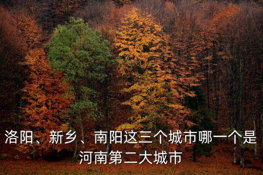 洛陽、新鄉、南陽這三個城市哪一個是河南第二大城市