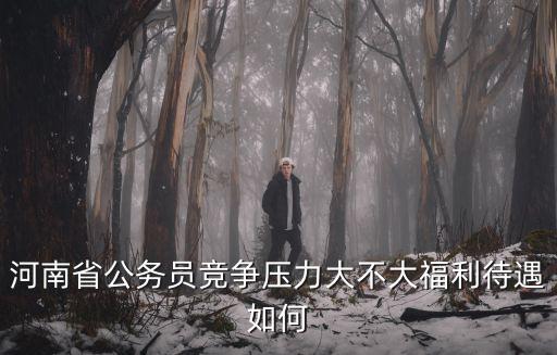 河南省公務員競爭壓力大不大福利待遇如何