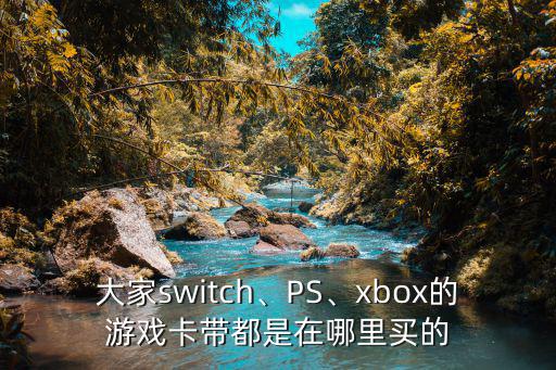 大家switch、PS、xbox的游戲卡帶都是在哪里買的
