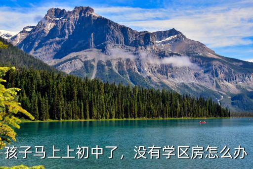 許昌市非學區房的孩子怎么上學,非學區房會影響孩子上學嗎