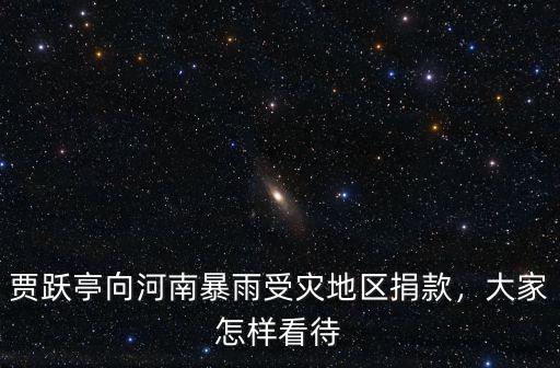 賈躍亭向河南暴雨受災(zāi)地區(qū)捐款，大家怎樣看待