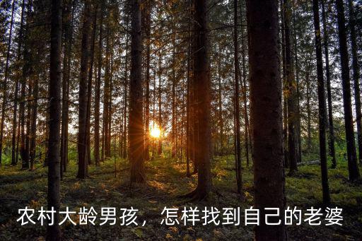 農村大齡男孩，怎樣找到自己的老婆