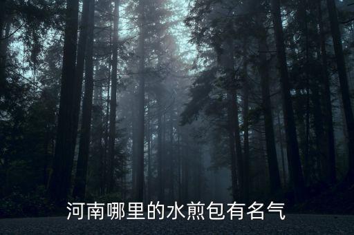 河南哪里的水煎包有名氣